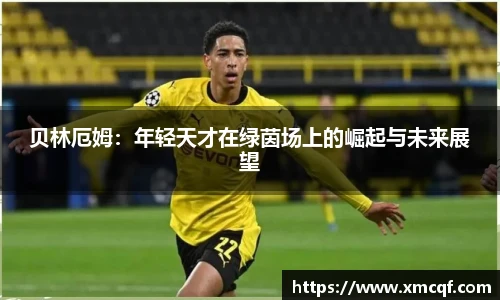 8866体育官网